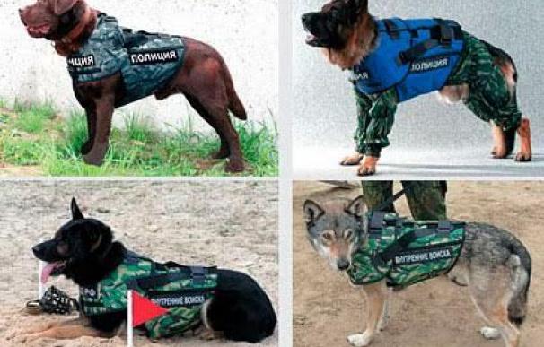 Rusia crea chalecos antibala 'full equipe' para perros policía
