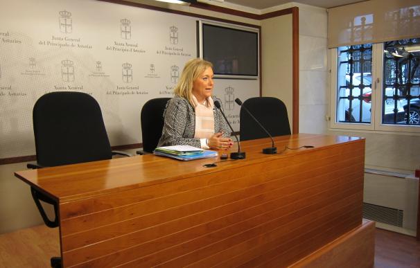 Mercedes Fernández (PP) dice que le dan "asco" las intervenciones de Enrique López (Podemos) en el Parlamento