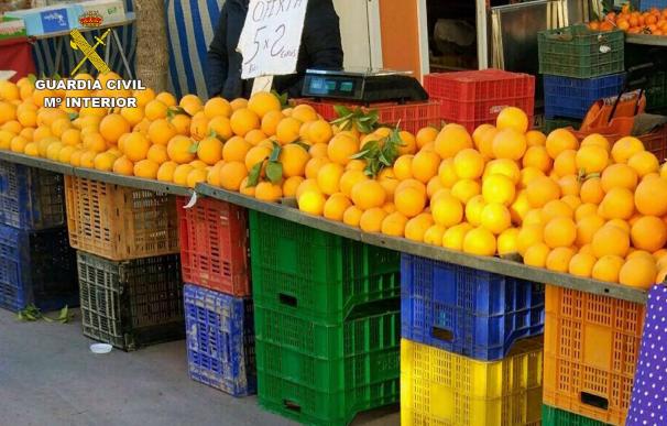 Detenidas cinco personas por sustraer más de 1.000 kilos de naranjas de explotaciones de Murcia