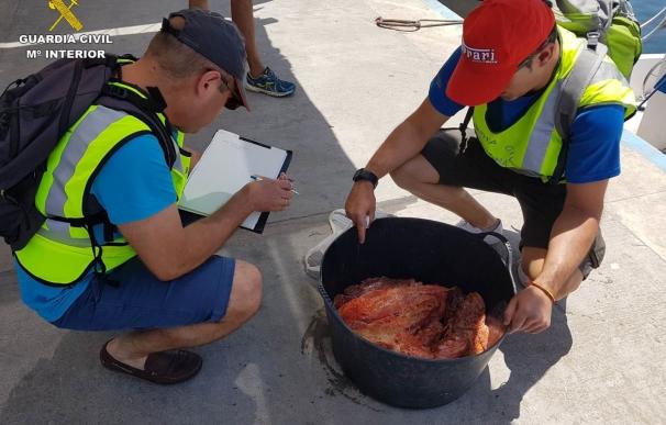 Incautan más de 100 kilos de pescado sin etiquetar en el Mercado Central y la isla de Tabarca