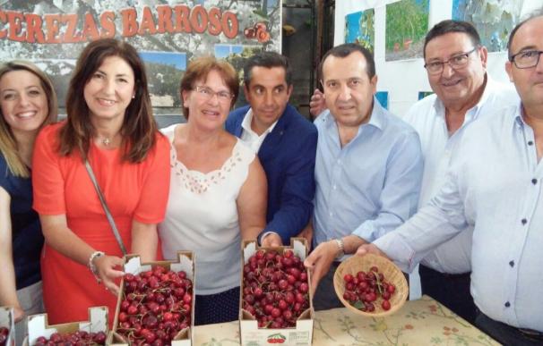 La Junta destaca la calidad de la cereza de Alfarnate, "dinamizador del sector agrícola y económico"
