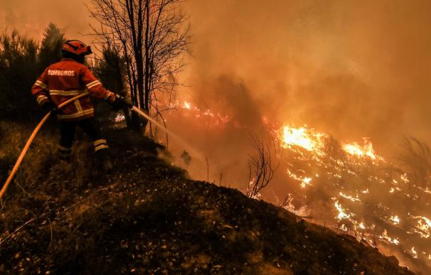 El incendio de Portugal deja más de 60 muertos