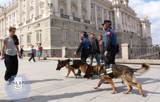 Policía Municipal cobrará 300.000€ en horas extras y tendrán espacios de descanso en el operativo