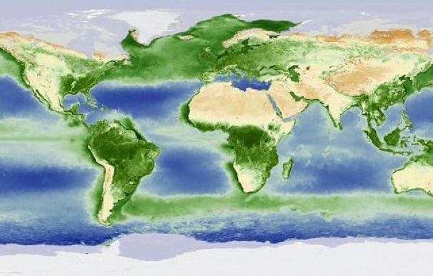 El vídeo de la NASA muestra el ciclo de la fauna sobre la tierra y los océanos a lo largo de un año.
