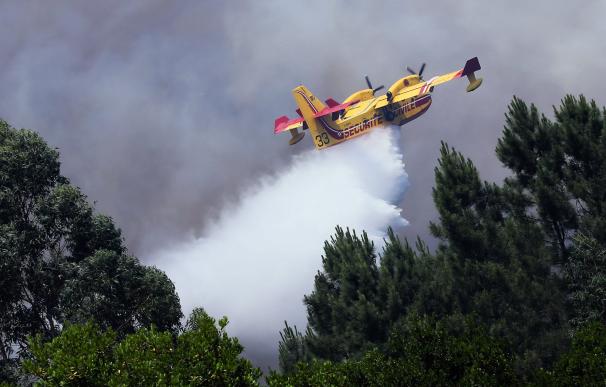 Se estrella uno de los aviones Canadair que combatía el incendio en Portugal (EFE/MIGUEL A. LOPES)