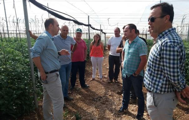El delegado de Agricultura de la Junta visita la zona de Zújar y Freila dañada por el granizo