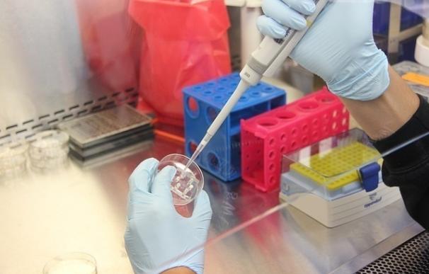 Investigadores se acercan a un tratamiento farmacológico para la hepatitis B