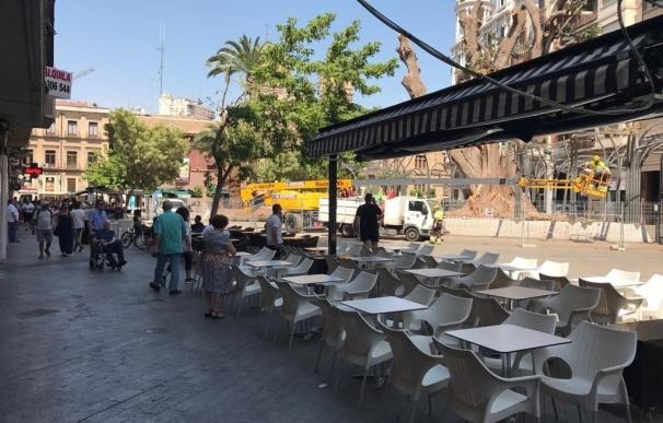 Reabierta la Plaza de Santo Domingo tras concluir los trabajos de saneamiento del ficus