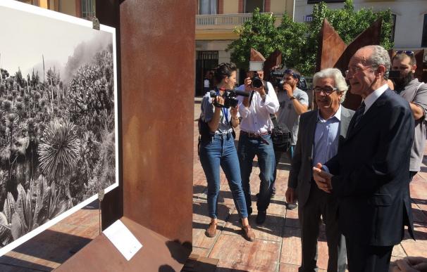 Sebastião Salgado traslada la naturaleza "en estado puro" a la plaza de la Constitución de Málaga