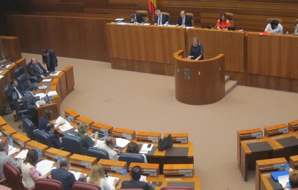 Del Olmo pide el compromiso del Ejecutivo y del Legislativo para garantizar la estabilidad de las cuentas