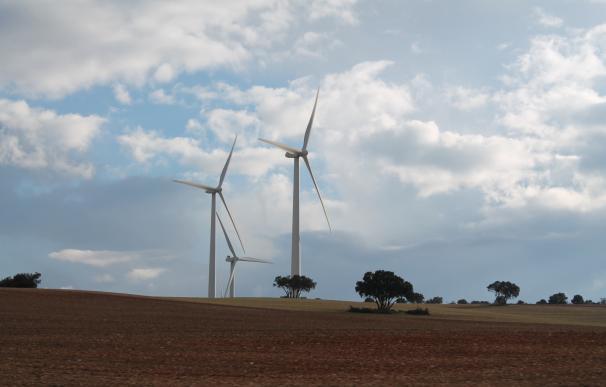 Las renovables duplican su cuota en nueve años y suponen ya el 15% del consumo final de energía en España