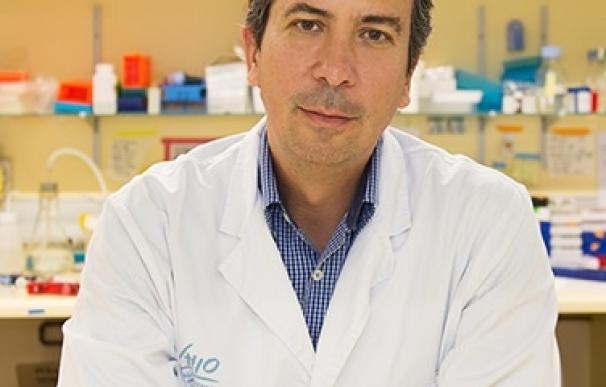 El VHIO diseña la primera biopsia líquida para analizar tumores cerebrales