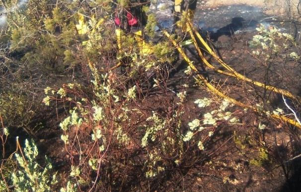 Estabilizado el incendio de Porto Petro tras quemar dos hectáreas de pinar