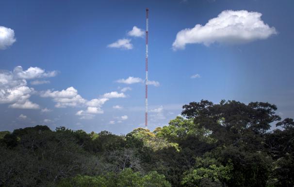 The 325-metre-high Amazon Tall Tower Observatory (