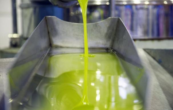 La producción de aceite de oliva en Andalucía llega a 1,05 millones de toneladas, el 82% del total nacional hasta abril