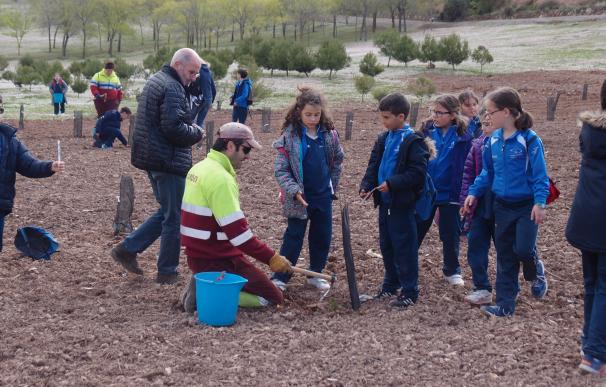 Escolares plantan 300 árboles en La Grajera dentro del programa de educación ambiental