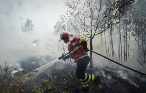 El jefe de bomberos de Portugal señala que el incendio fue provocado
