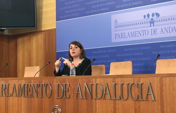 IULV-CA no ve cambio en las políticas del nuevo Gobierno andaluz sino "persistencia en políticas equivocadas"