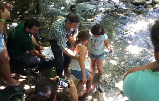 Junta libera cerca de 10.000 ejemplares de trucha común para su reproducción en el río Majaceite