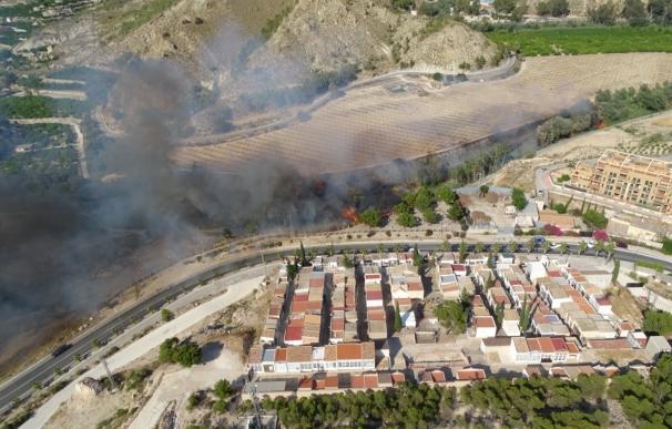 Los Bomberos trabajan para extinguir un incendio declarado en la orilla del río, en Villanueva del Segura