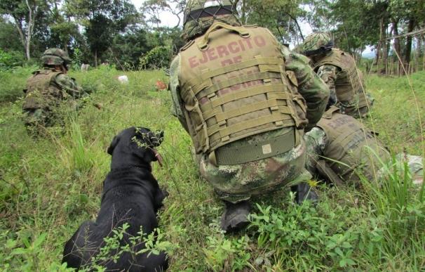 El Ejército de Colombia libera a dos conductores de autobús secuestrados por el ELN la semana pasada