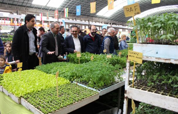 Abre la V Feria de Árboles y Plantas con "centenares" de personas desde primera hora