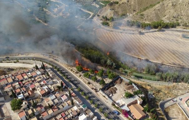 Los Bomberos estabilizan el incendio declarado en la orilla del río, en Villanueva del Segura