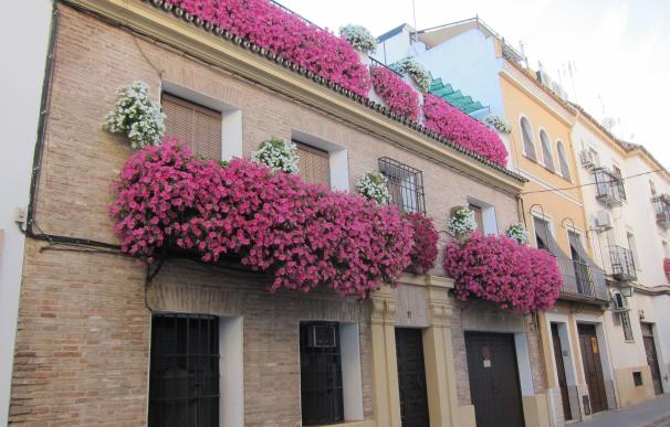 Un total de 27 rejas y balcones participarán en el concurso municipal de Córdoba desde este martes