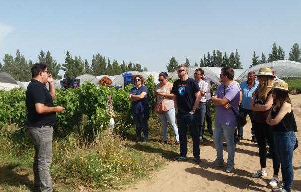 La Junta divulga conocimiento sobre el cultivo ecológico de frutos rojos con una Aula Agroecológica en Almonte