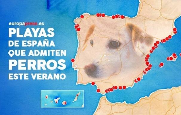 Las playas de Llenaire, Na Patana, Es Carnatge, Cala Gamba y Cala Blava admiten este verano la entrada de perros