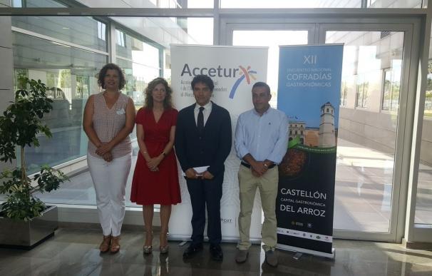 El CdT de Castellón recibe un premio nacional a la mejor institución promotora de gastronomía y turismo