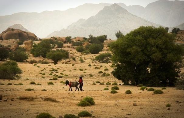 TEA proyecta la película documental 'Canarias Amazigh. Tras las huellas de los antiguos canarios'
