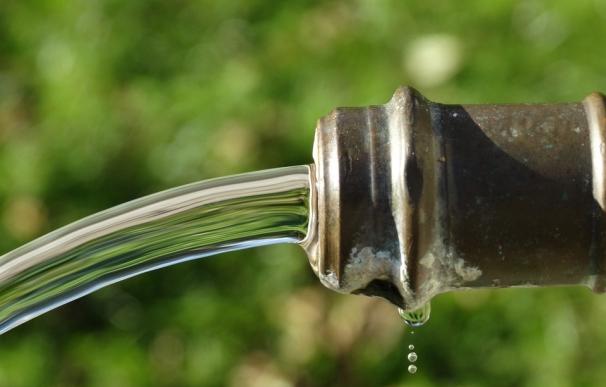 Un estudio relaciona la ingesta de nitrato en el agua con el riesgo de cáncer colorrectal