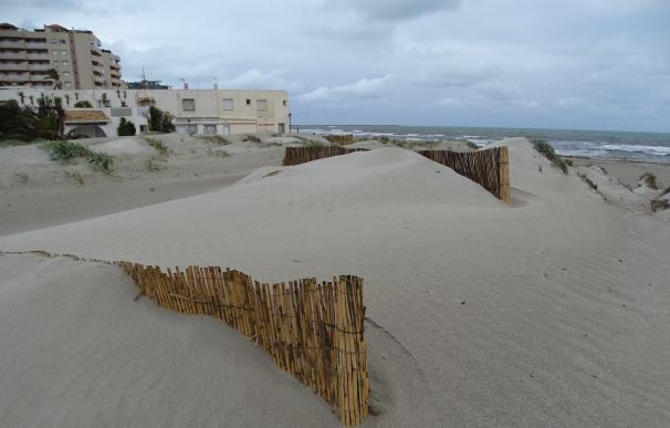 ANSE denuncia daños en los sistemas dunares de La Manga por la extracción de arenas para "alimentar" playas