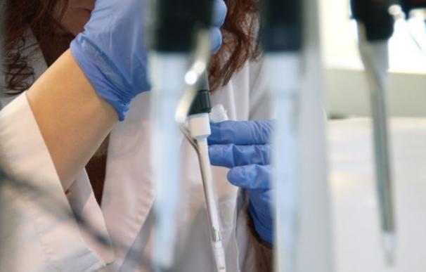 Holanda someterá a miles de personas a análisis ADN para identificar asesino