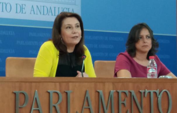 PP-A reclama a Susana Díaz que "pida perdón" por su "abandono de obligaciones" y un "Plan Renove" de su Gobierno