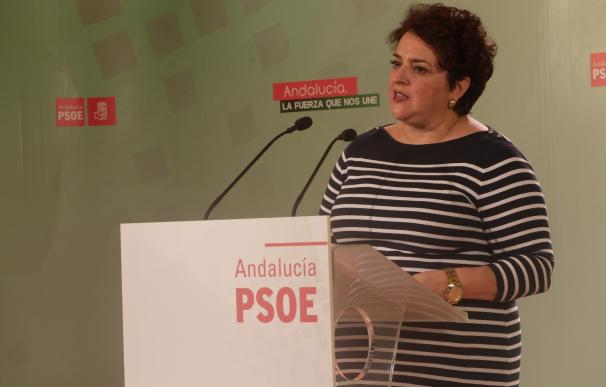 Jiménez (PSOE) ve "bochornoso" el arresto del alcalde y lamenta que Granada esté "en el mapa de la corrupción"