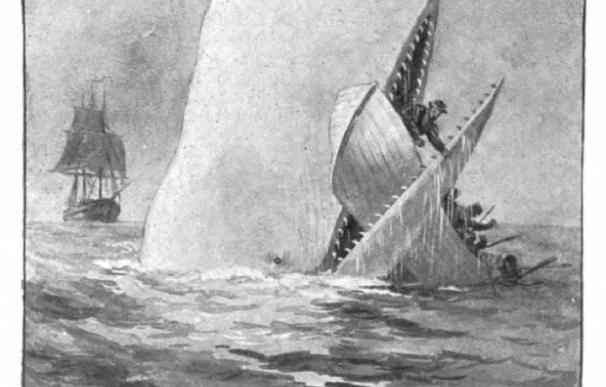 Un estudio científico señala que la leyenda de Moby Dick puede ser cierta