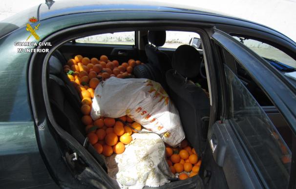 Investigan a siete personas tras intervenir 700 kilos de naranjas en Gibraleón
