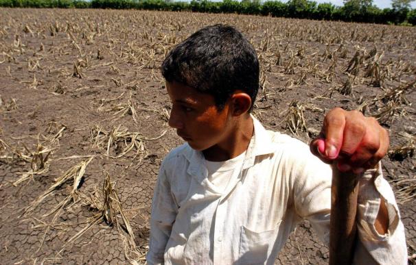 Guatemala sólo ha recibido un 3% de la ayuda pedida para paliar la sequía