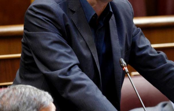 ICV pedirá a Zapatero en sesión control que "haga todo lo posible" para renovar el Constitucional