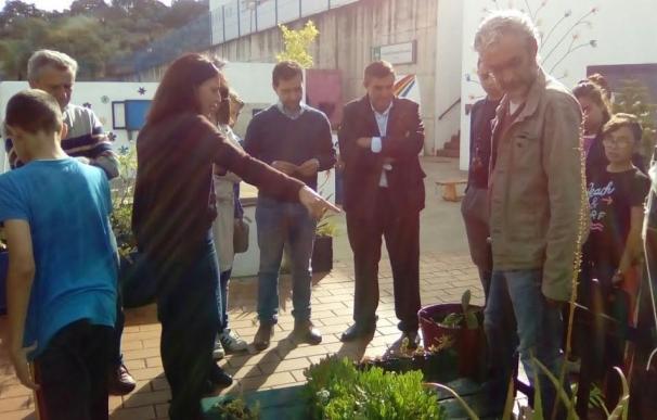 Cuatro centros educativos reciben la Bandera Verde de Ecoescuelas por su compromiso ambiental