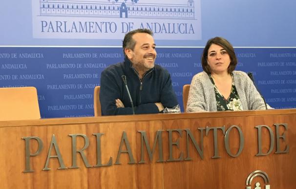 IU acusa al PSOE-A de "dinamitar" el SAE al intentar introducir a personal de Faffe con modificación de un decreto-ley