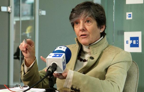 Mintegi valora las propuestas del PNV pero ve "difícil" un gobierno con Bildu