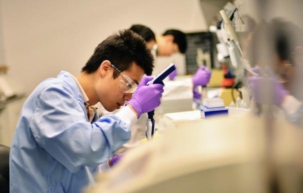 Investigadores desarrollan una técnica con células madre para regenerar cualquier tejido humano