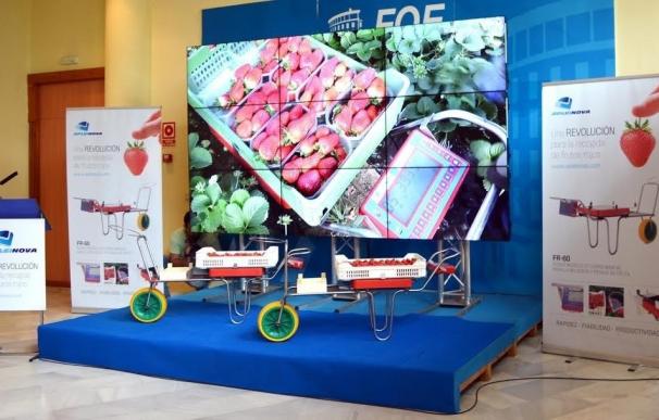 Apleinova presenta un nuevo sistema para recoger fresas que propicia un ahorro de hasta un 10% de la producción