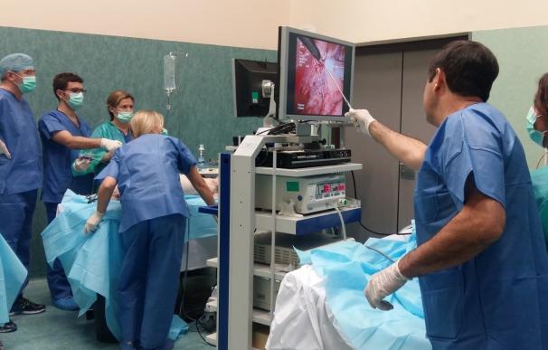 Salud aúna modelos de simulación clínica avanzada para formar a especialistas en cirugía urológica pediátrica