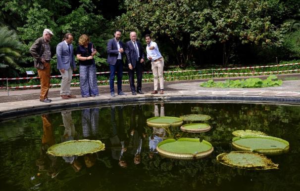 El Ayuntamiento de Málaga regenera La Concepción con 7.000 nuevas plantas y un centenar de árboles