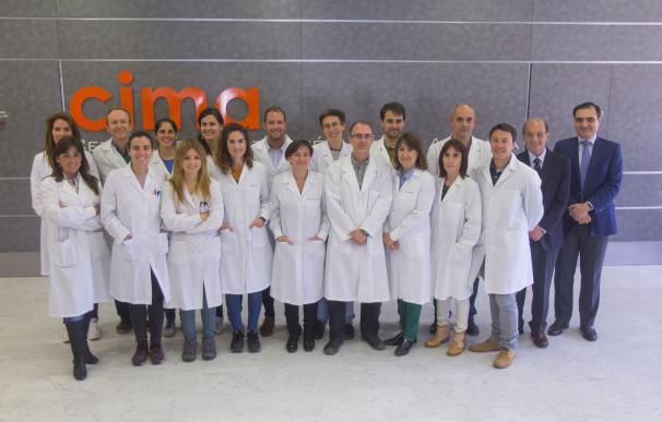 Científicos del CIMA de la Universidad de Navarra diseñan un prometedor tratamiento para la enfermedad de Wilson