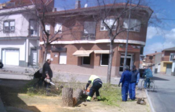 Ecologistas en Acción pide al Ayuntamiento de Villacañas que pare una "tala indiscriminada" de árboles en el municipio